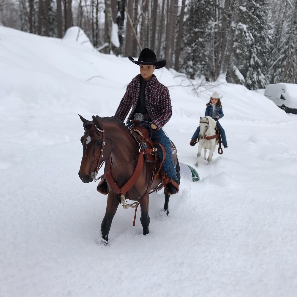 Meet your Posher, Elizabeth